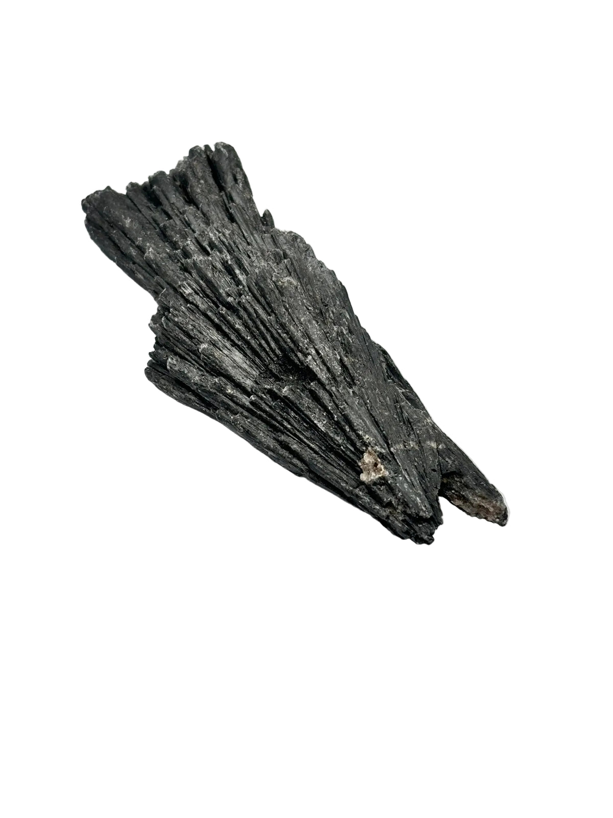 Cianita Negra | Escoba de Bruja — Protección Energética