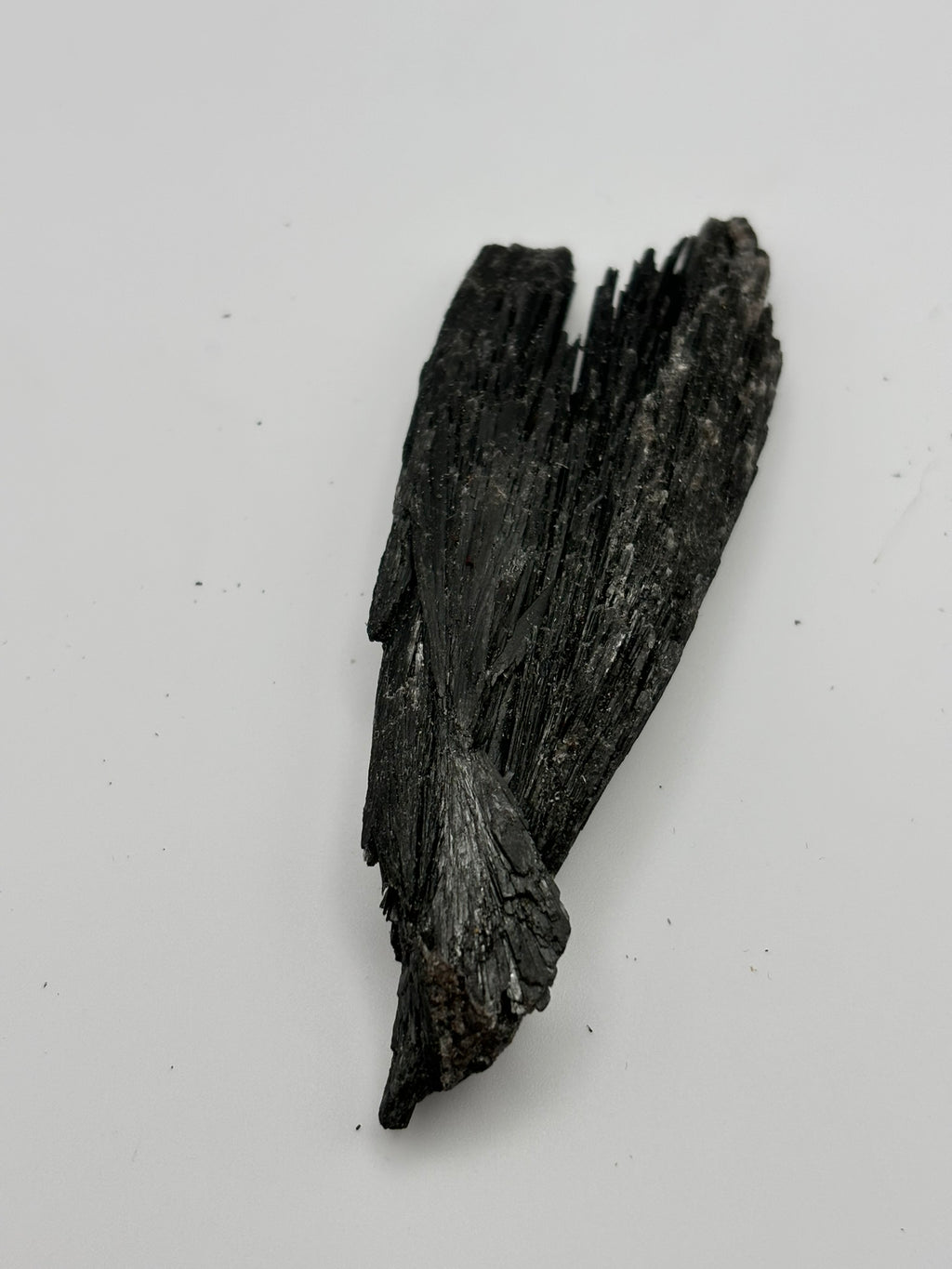 Cianita Negra en bruto– Escoba de Bruja