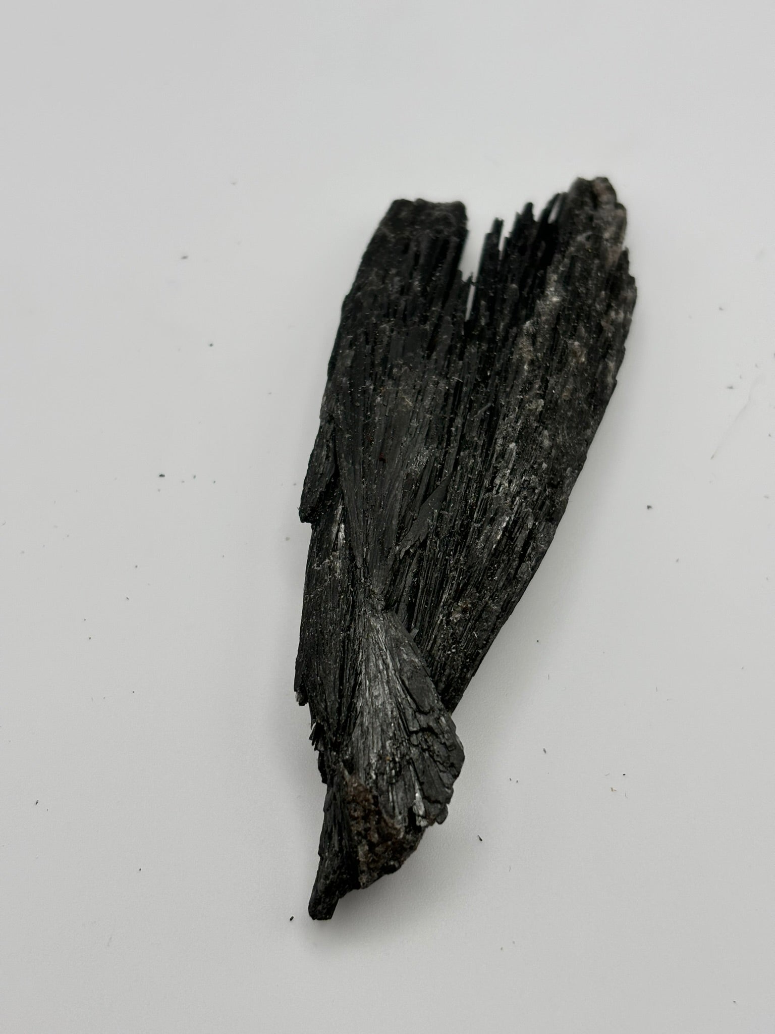 Cianita Negra en bruto– Escoba de Bruja