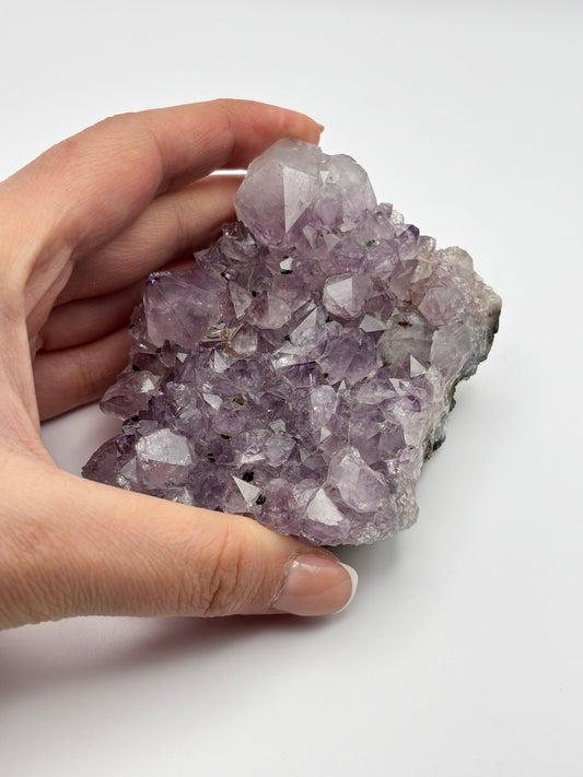 Drusa de Amatista – Purificación, Protección y Armonía