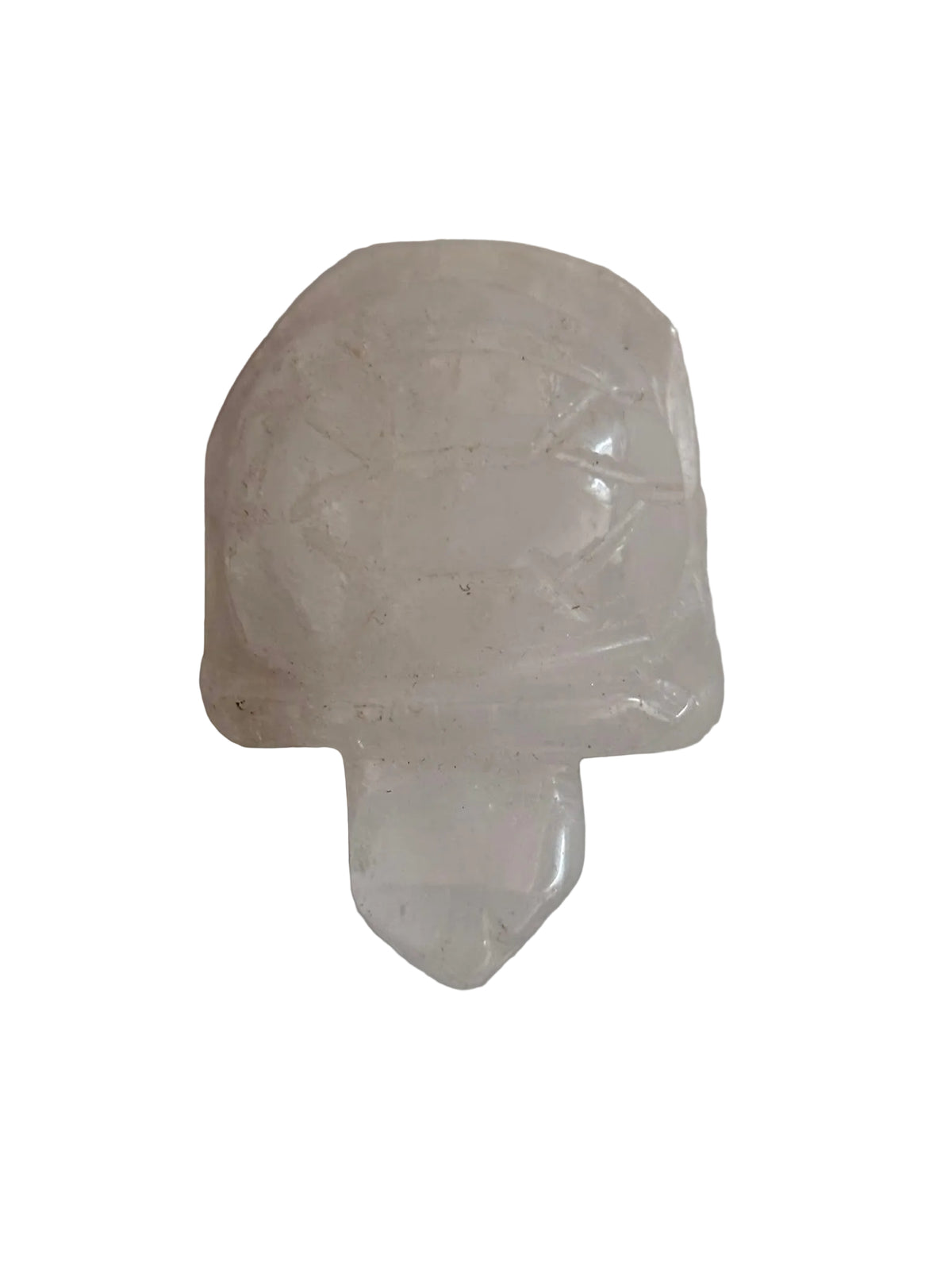 Tortuga de Piedra Natural | Elige tu Mineral