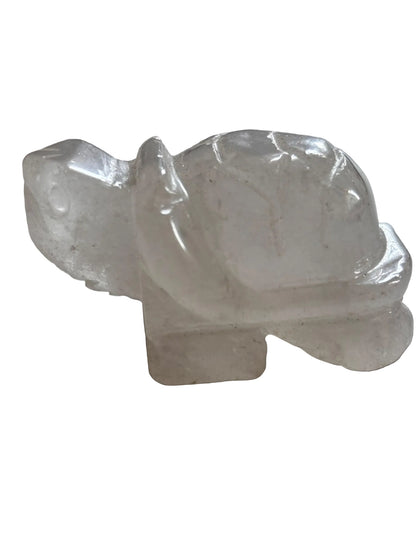 Tortuga de Piedra Natural | Elige tu Mineral